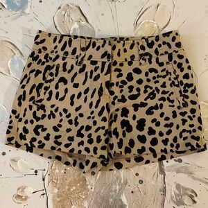 Cache Animal Print Shorts Size 0